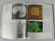 Kunst in België. L'Art en Belgique. Anno 1978 par Collectif. Préfcde Marcel Duchateau et Jean-Pierre Van Tieghem. - Image 7