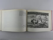 La Tauromaquia. 33 eaux-fortes du tirage original suivies de 11 planches inédites, avec 15 épreuves d'état, 42 esquisses préparatoires et 7 dessins et gravures divers. par Francisco Goya y Lucientes. Introduction, étude et présentation par Enrique Lafuente Ferrari. Trad. de Mathilde Pomès - Image 5