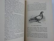 Les pigeons de volière, de colombier, messagers, militaires. Sport colombophile, sociétés pigeonnières, colombiers militaires. 3e éd. par GOBIN A.  - Image 5