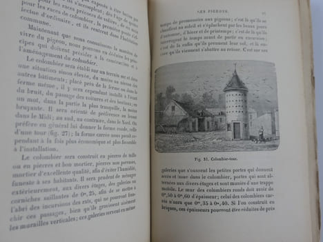 Les pigeons de volière, de colombier, messagers, militaires. Sport colombophile, sociétés pigeonnières, colombiers militaires. 3e éd.. GOBIN A.