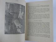 Traité de porciculture à l'Usage des Eleveurs, des Elèves des Ecoles d'Agriculture, des Ecoles Temporaires agricoles et des Ecoles Ménagères.  par Alex. Moureaux - Image 4