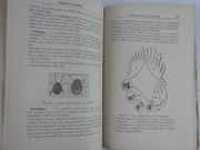 Maladies des Volailles. Maladies des pigeons et des poules, des oiseaux de basse-cour et de volière. Anatomie, hygiène, alimentation. 1ere éd.  par J. Lahaye - Image 5