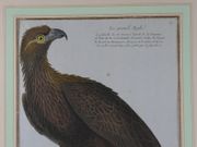 Image de livre