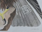 Image de livre