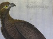 Image de livre
