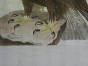 Image de livre