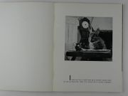 Le chat, la belette et le petit lapin. Une Fable de La Fontaine vue et racontée par Jean Tourane par Jean TOURANE - Image 4