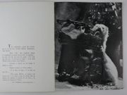 Le chat, la belette et le petit lapin. Une Fable de La Fontaine vue et racontée par Jean Tourane par Jean TOURANE - Image 7