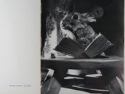 Le chat, la belette et le petit lapin. Une Fable de La Fontaine vue et racontée par Jean Tourane par Jean TOURANE - Image 8