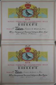 2 DIPLOMES R.C.F.B. Royale Fédération Colombophile Belge pour l'année 1965, Section Provinciale Liégoise : 14e au Championnat Provincial Catégorie "Bon Pigeon" & 16e au Championnat Provincial Catégorie "Demi-Fond"