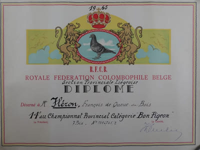 2 DIPLOMES R.C.F.B. Royale Fédération Colombophile Belge pour l'année 1965, Section Provinciale Liégoise : 14e au Championnat Provincial Catégorie "Bon Pigeon" & 16e au Championnat Provincial Catégorie "Demi-Fond"