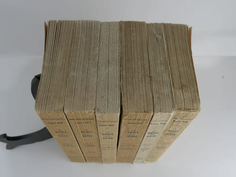 Le siècle des gueux. Histoire de la sensibilité flamande sous la Renaissance. 5 TOMES EN 6 VOLUMES, du tome 2 au dernier. T2 Le Miroir de l'Escaut. T3 ...