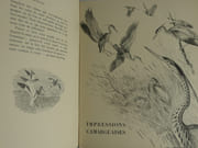 Toute la Camargue. 2 Volumes.  par Tony Burnand et Joseph Oberthür. Précédé d'une préface de Monsieur le Professeu Bressou - Image 9