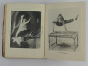 Vive le cirque. ENVOI autographe signé à GUS BOFA. Phénomènes - Acrobates - Clowns - Fauves.  par Ecrit et dessiné par Serge  - Image 9