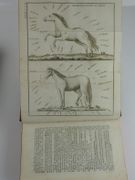 La Petite Maison Rustique ou Cours théorique et pratique d'agriculture, d'économie rurale et domestique. D'après Rozier, Duhamel-Dumonceau, de la Bretonnerie, pour la grande culture et le jardinage; Gilbert, Tessier, Lafosse pour l'art vétérinaire; Chaptal pour l'art de faire le vin, Valmont de Bomare, Cadet-de-Vaux, etc., pour divers procédés d'économie rurale et domestique.  par Rozier, Duhamel-Dumonceau, de la Bretonnerie, Gilbert, Tessier, Lafosse, Chaptal, Valmont de Bomare, Cadet-de-Vaux,  - Image 10