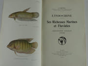 L'Indo-Chine. Ses Richesses Marines et Fluviales. Exploitation actuelle - Avenir.  par A. Gruvel - Image 2