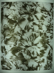 SYNTHESE. Revue Mensuelle réservée au corps médical. Sixième année. Numéro 12. Décembre 1938. Complet des 4 micrographies en feuilles volantes imprimées sur film radiographique de LAURE-ALBIN GUILLOT.
