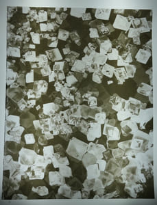 SYNTHESE. Revue Mensuelle réservée au corps médical. Sixième année. Numéro 12. Décembre 1938. Complet des 4 micrographies en feuilles volantes imprimées sur film radiographique de LAURE-ALBIN GUILLOT.