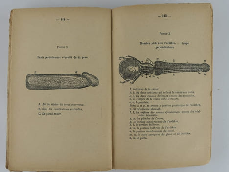 Trois livres complets en un seul : Tableau de l'amour conjugal. Sécurité des deux sexes en amour. Bréviaire de l'amour expérimental.. Docteurs N. ...