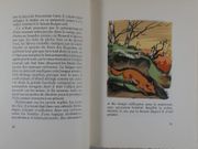 De Goupil a Margot. Histoires de bêtes. Gravures en couleur sur bois de Lucien De Jaegher. par Louis PERGAUD - Image 4