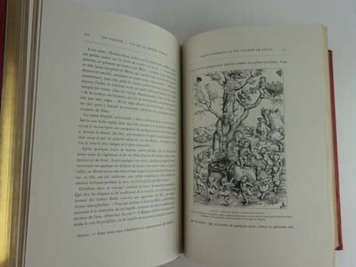 La Sainte Vierge par l'Abbé U. Maynard, Chanoine de Poitiers. Ouvrage illustré de quatorze chromolithographies, trois photogravures et deux cents gravures par Huyot, dont ving-quatre hors texte.