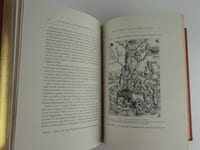 La Sainte Vierge par l'Abbé U. Maynard, Chanoine de Poitiers. Ouvrage illustré de quatorze chromolithographies, trois photogravures et deux cents gravures par Huyot, dont ving-quatre hors texte.