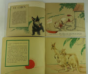 Réunion de deux ouvrages illustrés par Rapeno : Animaux domestiques. Animaux sauvages. par Texte et dessins de Armand Rapeno.  - Image 2