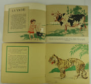 Réunion de deux ouvrages illustrés par Rapeno : Animaux domestiques. Animaux sauvages. par Texte et dessins de Armand Rapeno.  - Image 5