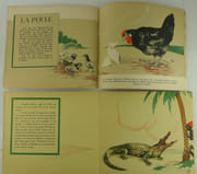 Réunion de deux ouvrages illustrés par Rapeno : Animaux domestiques. Animaux sauvages. par Texte et dessins de Armand Rapeno.  - Image 6