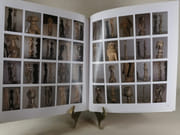 MUMUYE par Texte de François Neyt. Photographies de Christophe Lebedinsky. Illustrations de Xavier Mérigot. - Image 9