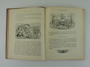 Little Bright Eyes. Picture Book for Little Children. With two hundred illustrations.  par Mrs Sale Barker - Image 3