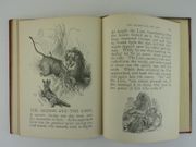 Little Bright Eyes. Picture Book for Little Children. With two hundred illustrations.  par Mrs Sale Barker - Image 7