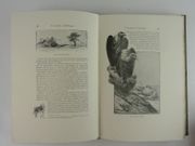 Image de livre
