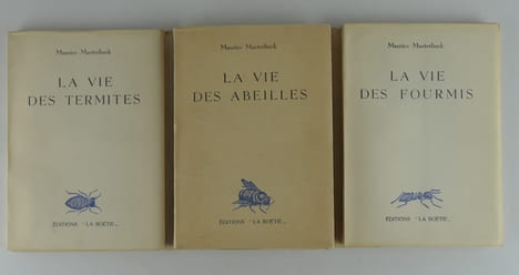 Réunion de 3 titres sous coffret : La vie des termites. La vie des fourmis. La vie des abeilles. Maurice MAETERLINCK. Illustrations de Raoul Livain.