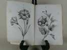 Les fleurs en papier. Manuel encyclopédique contenant la manière d'exécuter les fleurs en papier, leurs diverses applications à l'ornement des ...