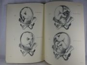 Nouvelles demonstrations d'accouchemens. Avec des planches en taille-douce, accompagnees d'un texte raisonne, popre a en faciliter l'explication, format in-folio. [ facsimile/reprint de l'édition de Paris, 1822 ] par Jean-Pierre MAYGRIER - Image 3