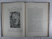 Het boek der Reizen en Ontdekkingen om den Aardbol. Met 55 houtgravures naar oorspronkelijke teekeningen. par Jules VERNE - Vrij bewerkt door Dr. G.J. Dozy - Image 5