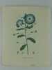 LISERON TRICOLOR Planche n°220  Plantes de la France, décrites et peintes d'après nature.  (BOTANIQUE) GRAVURE ORIGINALE. Jaume Saint-Hilaire ...