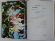 Damascus Roses. En 2 volumes. par General Mustafa Tlass - Image 10