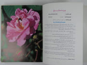 Damascus Roses. En 2 volumes. par General Mustafa Tlass - Image 8