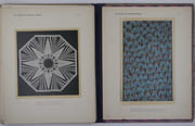 Les Batiks de Madame Pangon.  par Présentés par A. de Monzie et Yvanhoé Rambosson. Marguerite Pangon. - Image 13