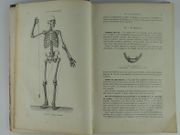 STRUCTURE ET FONCTIONS DU CORPS HUMAIN. par WITKOWSKI. (Gustave-Joseph-Alphonse) - Image 1