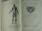 STRUCTURE ET FONCTIONS DU CORPS HUMAIN. par WITKOWSKI. (Gustave-Joseph-Alphonse) - Image 4