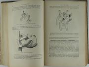 STRUCTURE ET FONCTIONS DU CORPS HUMAIN. par WITKOWSKI. (Gustave-Joseph-Alphonse) - Image 6