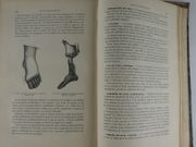 STRUCTURE ET FONCTIONS DU CORPS HUMAIN. par WITKOWSKI. (Gustave-Joseph-Alphonse) - Image 8