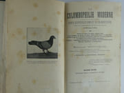 La colombophilie moderne. Traité scientifique de colombiculture, avec de nombreuses notions pratiques d'aviculture. Histoire et origine du pigeon voyageur belge. L'art d'installer, de nourrir, de croiser, d'élever et de dresser la gent volatile. Solution de toutes les questions controversées ayant trait à la science pigeonnière. Les progrès et les secrets du Sport colombophile. Hygiène. - Pathologie et thérapeutique des pigeons et de la volaille en général. Méthodes allopathique et homéopathique.  par Sylvain WITTOUCK - Image 1