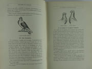La colombophilie moderne. Traité scientifique de colombiculture, avec de nombreuses notions pratiques d'aviculture. Histoire et origine du pigeon voyageur belge. L'art d'installer, de nourrir, de croiser, d'élever et de dresser la gent volatile. Solution de toutes les questions controversées ayant trait à la science pigeonnière. Les progrès et les secrets du Sport colombophile. Hygiène. - Pathologie et thérapeutique des pigeons et de la volaille en général. Méthodes allopathique et homéopathique.  par Sylvain WITTOUCK - Image 8