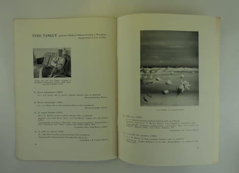 Les 4 points cardinaux du Surréalisme. Catalogue de l'exposition collective "De vier hoofdpunten van de Surrealisme" à la salle C.A.W. à Anvers, du 15 ...
