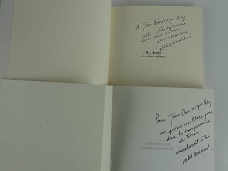 Réunion de 7 textes de Hubert Haddad : Errabunda ou les proses de la nuit (envoi autographe signé). Frontispice de Guy Paul Chauder. Ed. Eolienne // ...