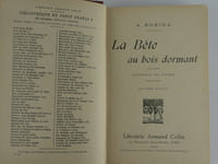 La Bête au bois dormant. Illustration par l'auteur